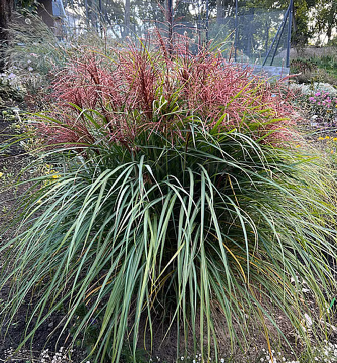 587277482de3b9138693573511f5ee8a