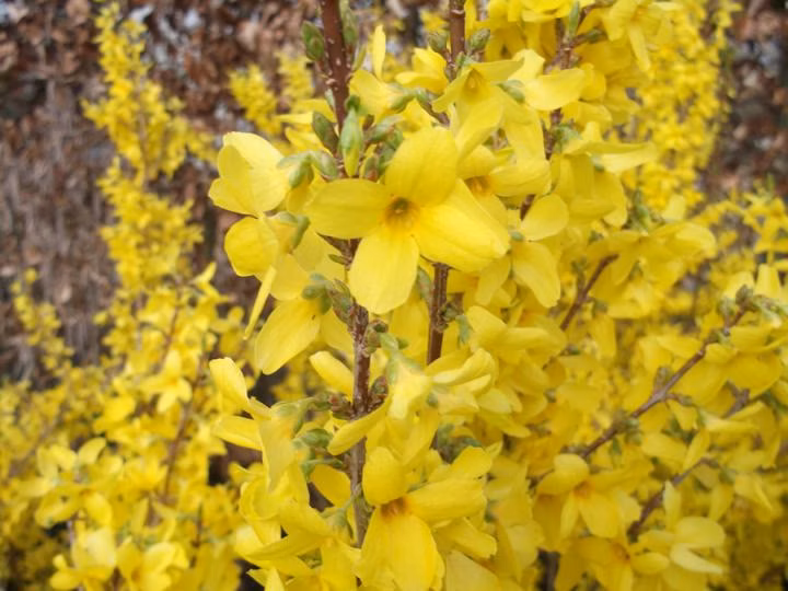 587920108aad4c441629a56f72ff35d1