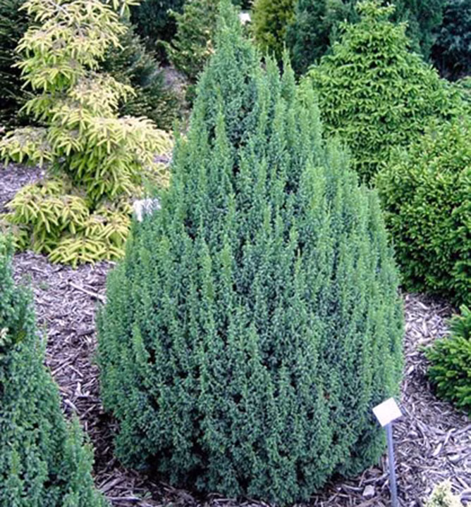 58a21d864e0f96e750c56a881a266230