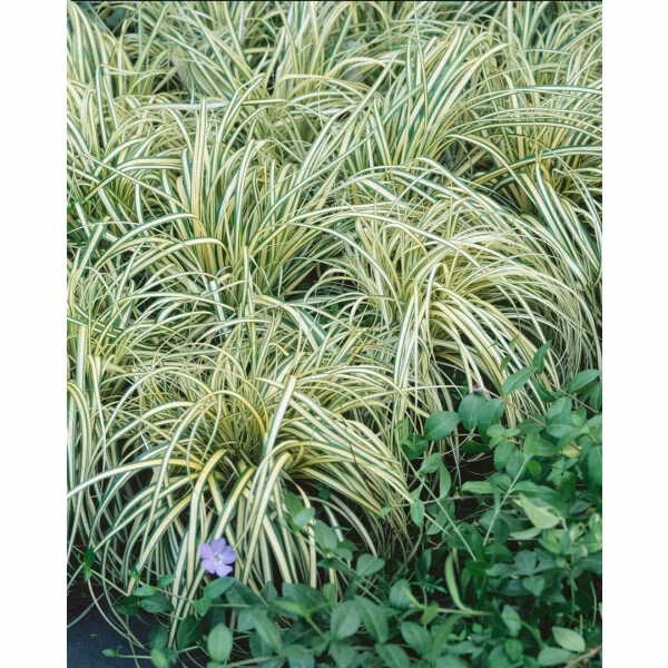 58b375571920d8f90835f85ac1129826