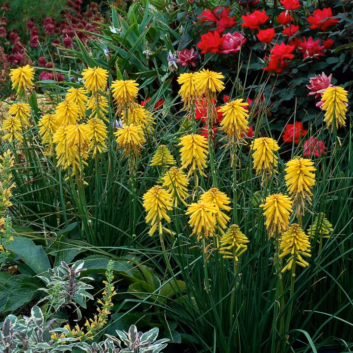 58b41f6b7fe9d41d34c6976276fba335