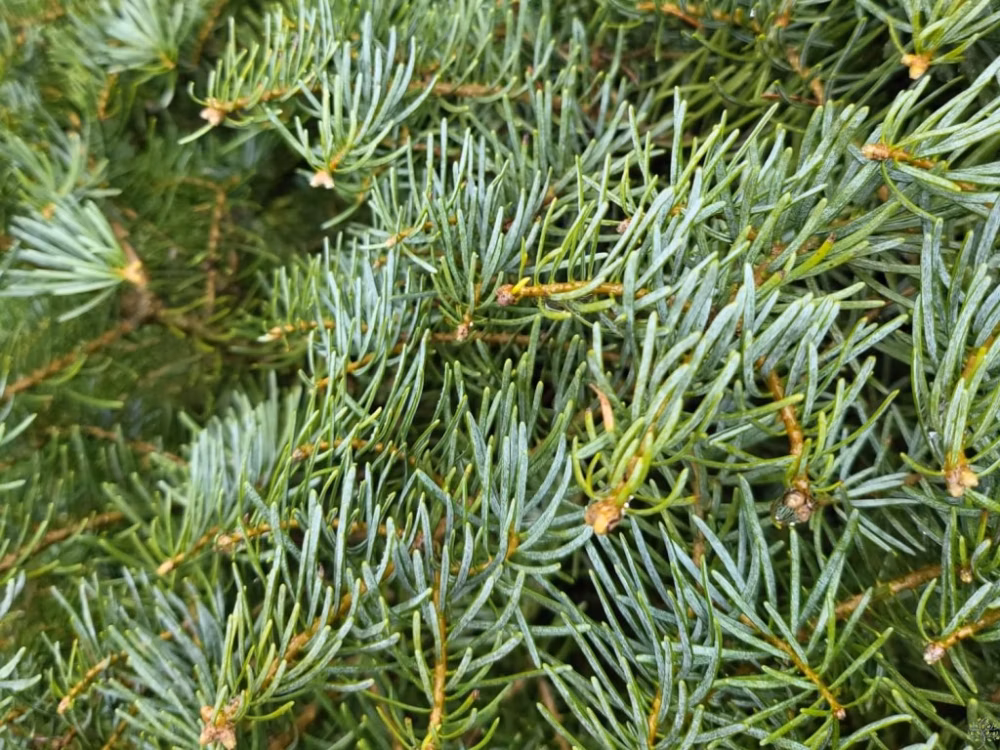 5920213c3e2d64403ac3b9d73b2aa909