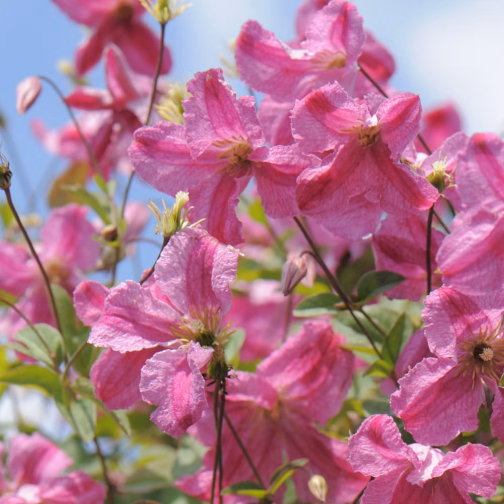 593bf13b7dd0b69cb183d110dfe61f27