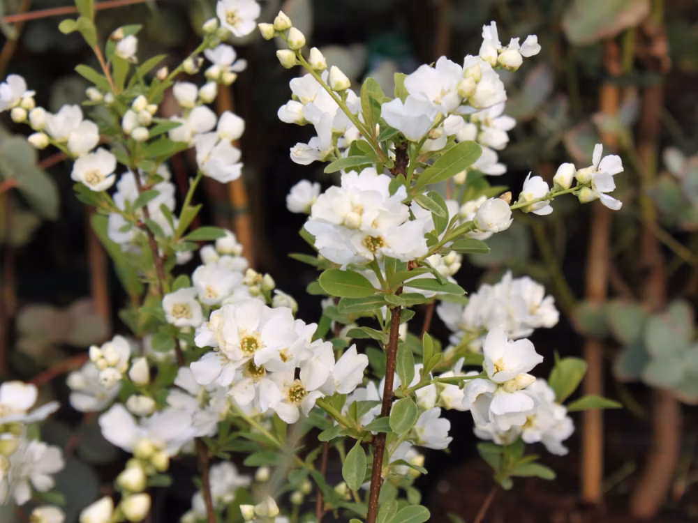 595f99eeb9e1f31b4f9b779609d6db9d