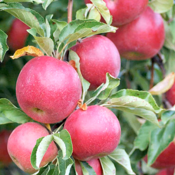 5976adf67e091d11db02f329e315971e