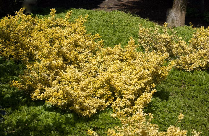 59816cfea82bbbb42927610cf05ab6ac