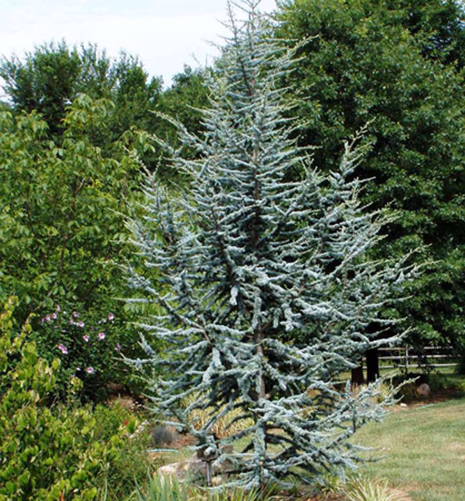 59e0d0902849cb4363e29f816d997618