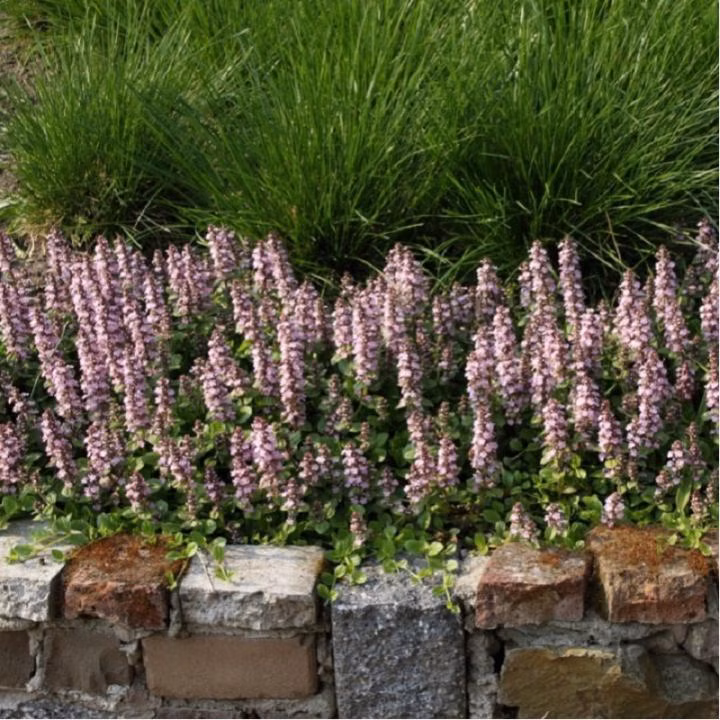 5a2c710149c821a2e45b7742f7ff1633