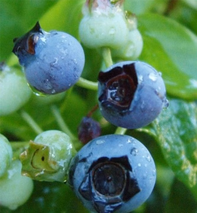 5a50040d4a96d0579eff2c133c7e8a4c