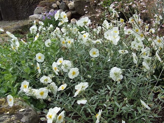 5a53d58b1014cef6d82a8becfbd867ec