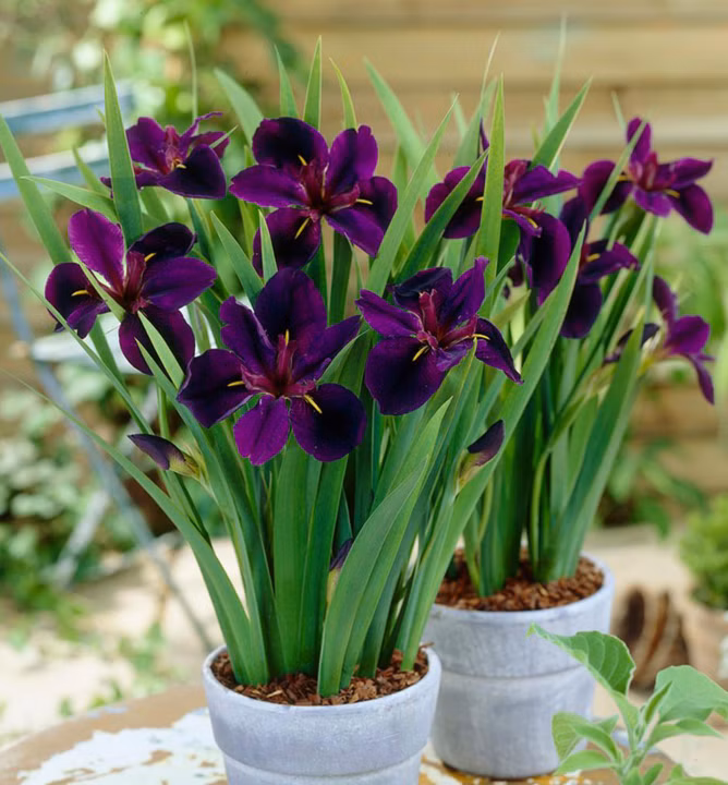 5a6db401d908b666637b4f440e28def9