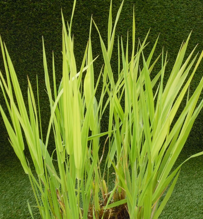 5a8c7f636de370ca46ea5ffc6034a5ea