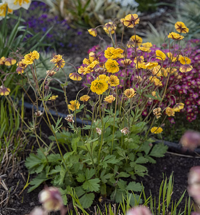 5a9efadc2a8b2631080c5752ca6513d5