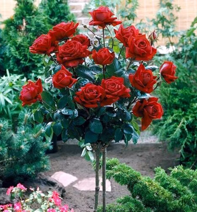 5ac45bea92171820696ccf8e13820d4d