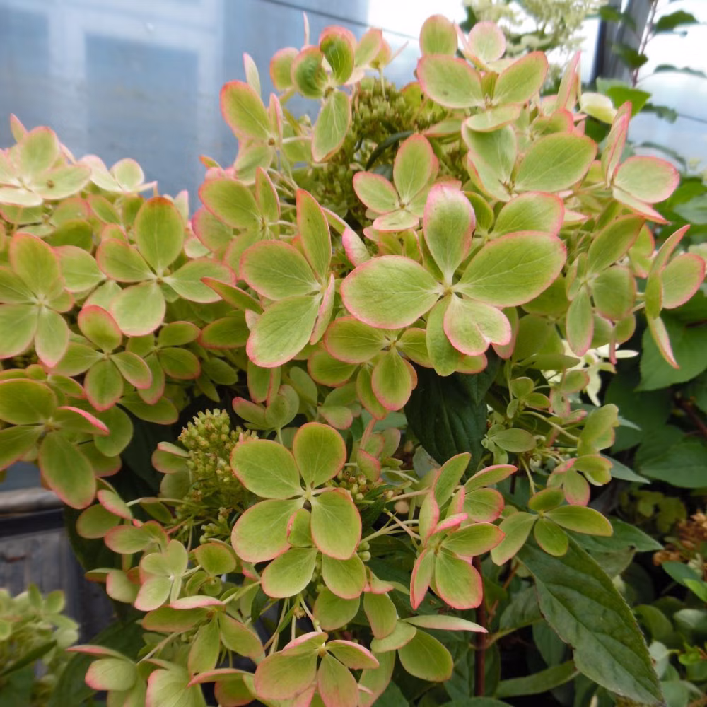 5aca7b1a5e803173cd1e6881c3f4cc65