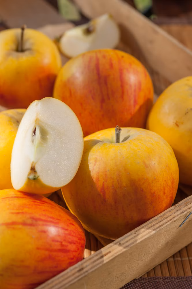 5ada283c2bf392537410a673dc80ba3c