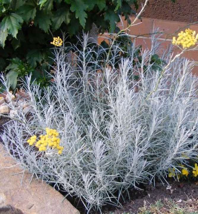 5ade0b66c0bf111b37b63d152c8fab1a