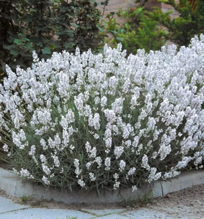 5b0dd531d315827a1051348efef4f426