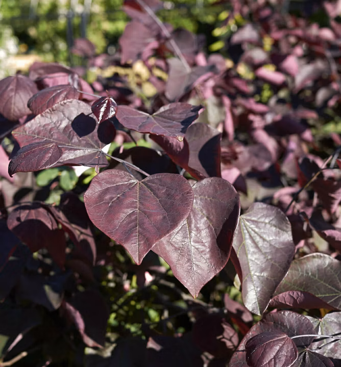 5b0e0482605e8ec9f00db26187ff7499