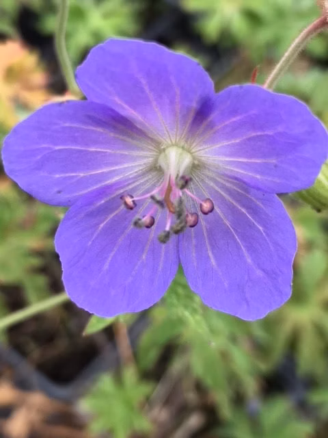 5b32898ddbb9650b0618b1624d627c94