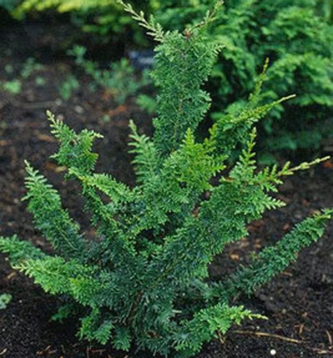 5b4ebc239a7f07b36369b3aa71567528