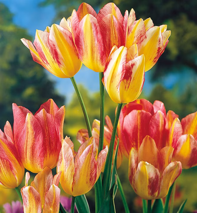 5b74870086f82762855af5175690e513