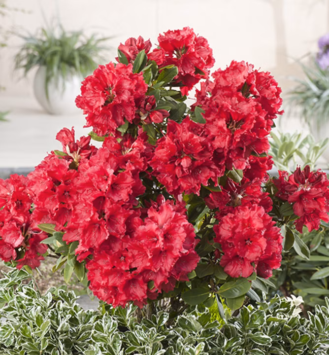 5b7666047d4b47ea79961f95979099b3