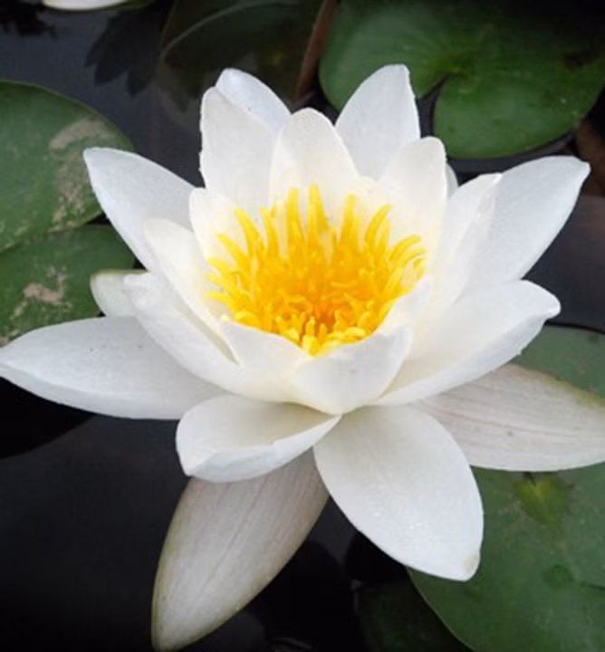 5b76b218c1657f8580f987f31c329ccf