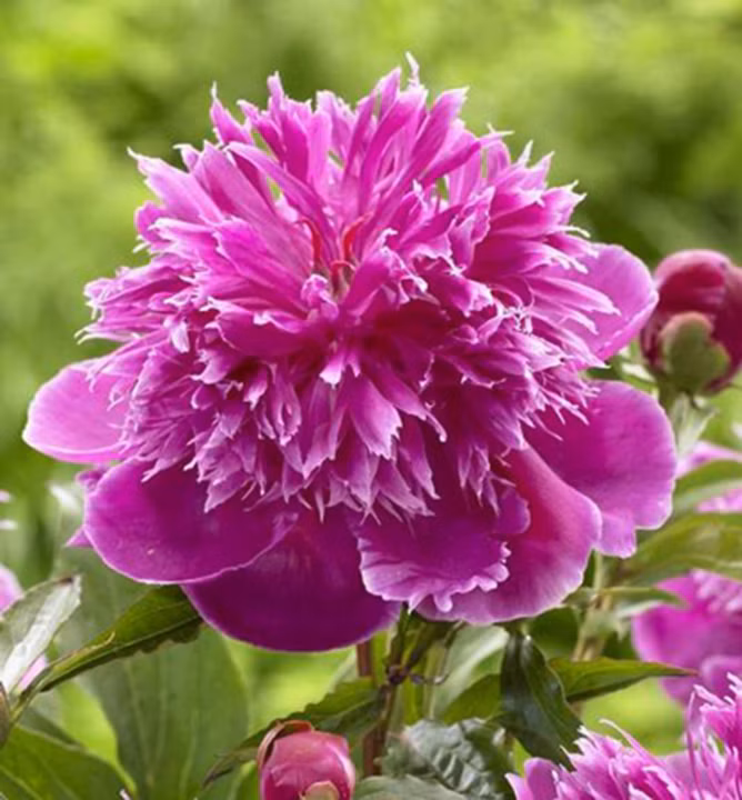 5b76dd9110a68807a76fb39531e6127b