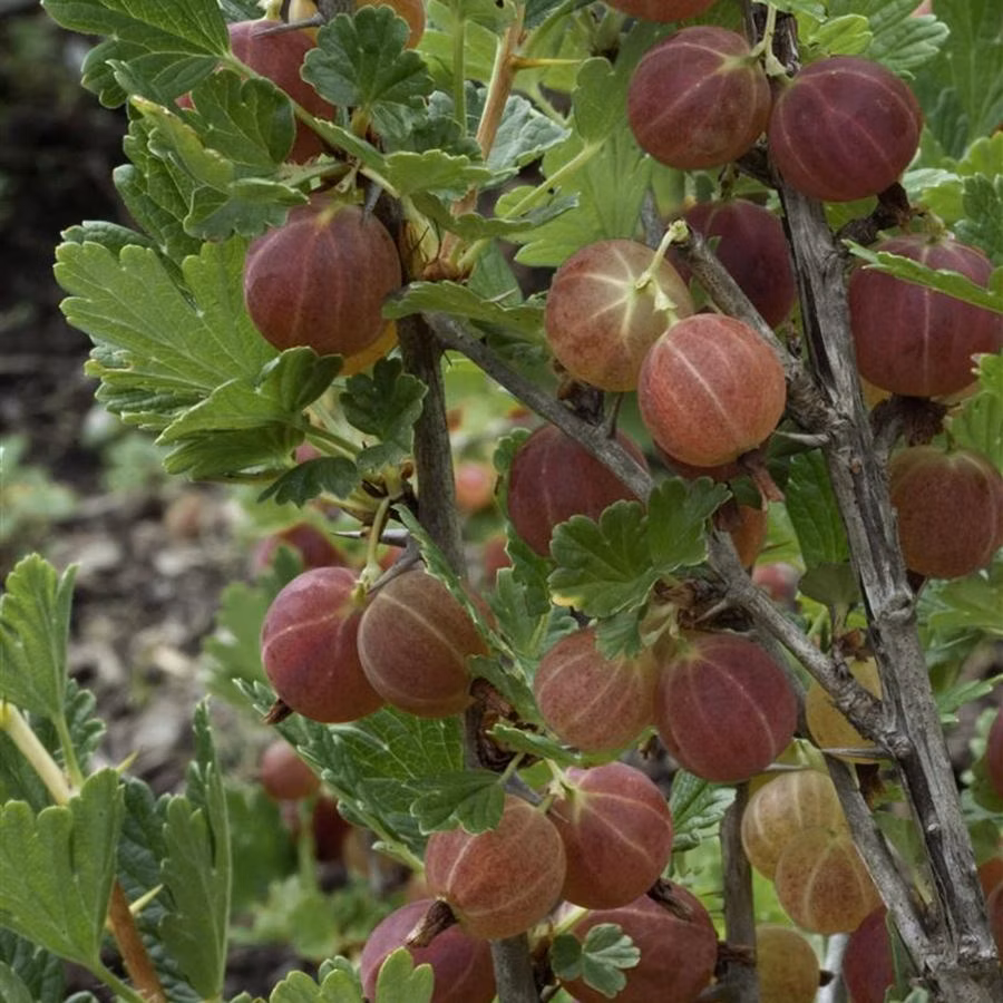 5b85f72e5403a84df380b19e1d5200e7