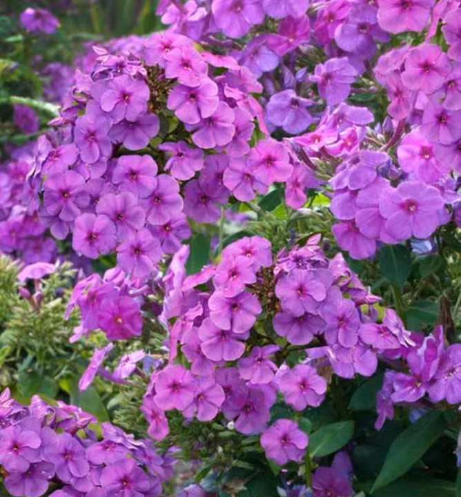 5b8dcc2c312f5d9226e4e072d7f47718