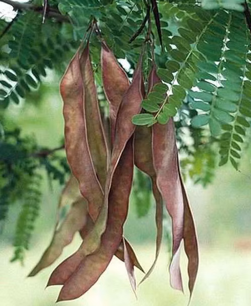 5b9bd8e1dc325a994b7434f39b7ad103