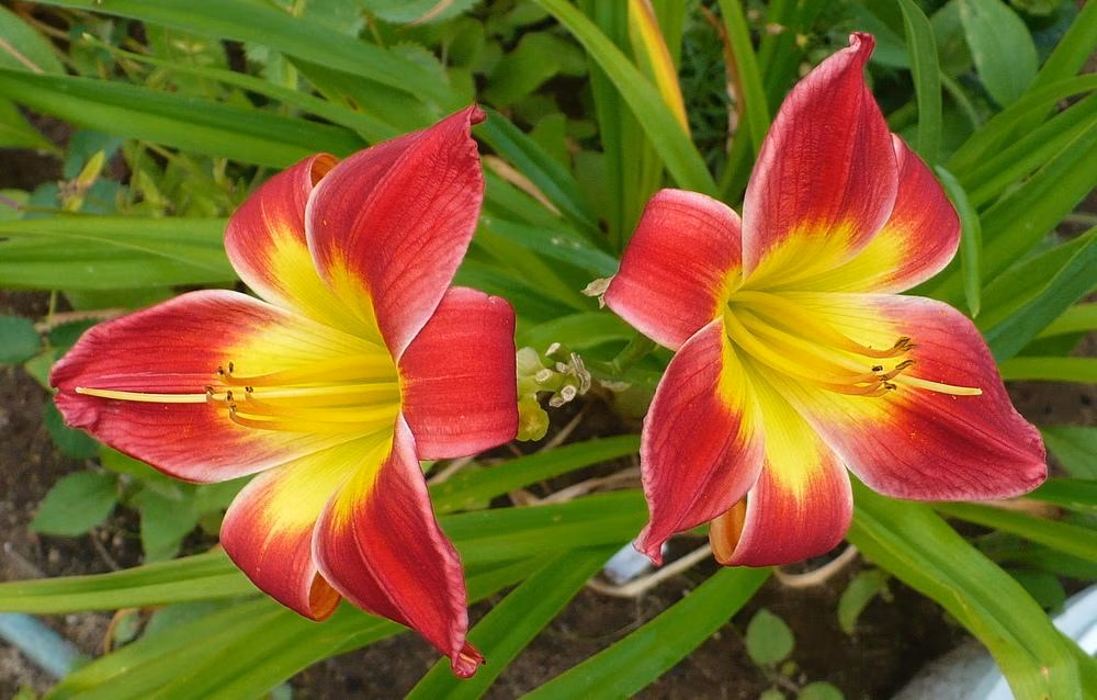 5bb12246ed367d643718f96742cd3389