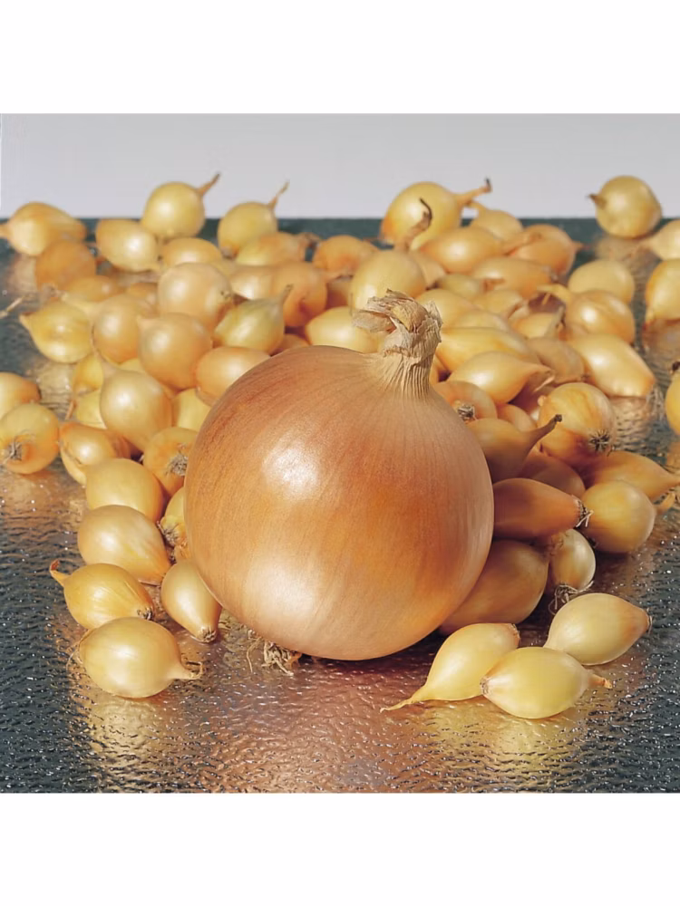 5bc5304d4ee622b30d5573b6056e2767