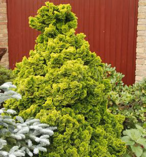 5beb639e907888f8337605b4c45db7ec