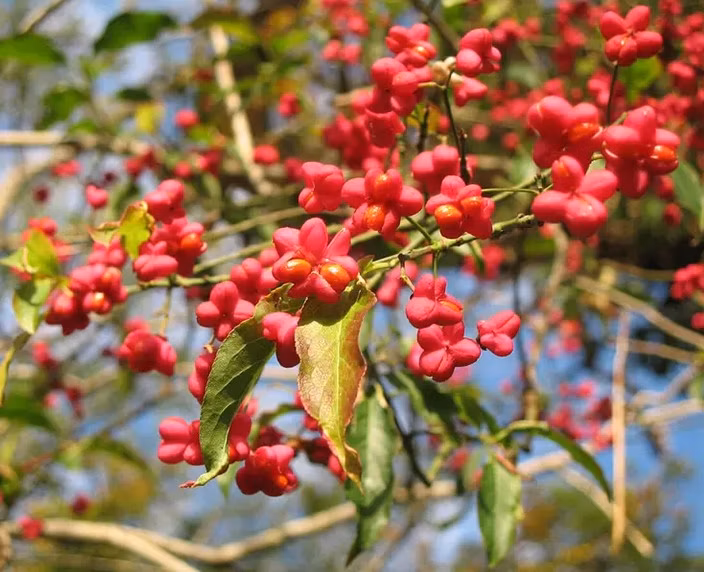 5c06c703e83cdec591acf5d0c546f549