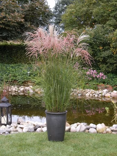 5c2391e3e284f19d41221fc27d762258