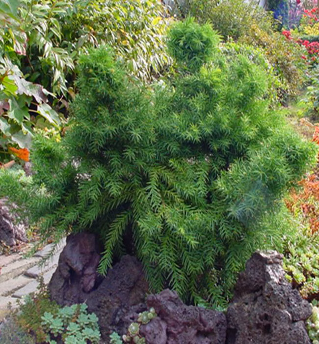 5c3f9b14f7490172c67429da42c1b13f