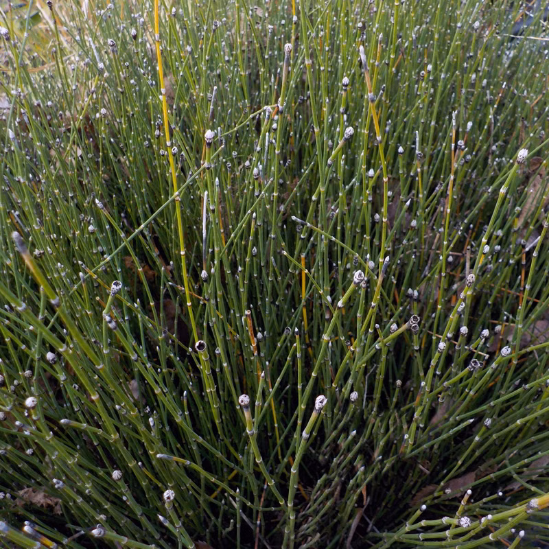 5c593d0ee82baec1519a72d615c0b37c