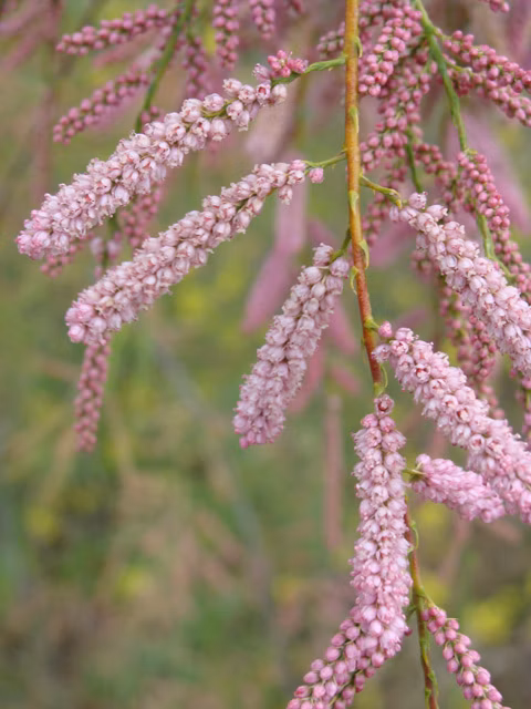 5c5bead266a5b31cb4a6d7176300fee4