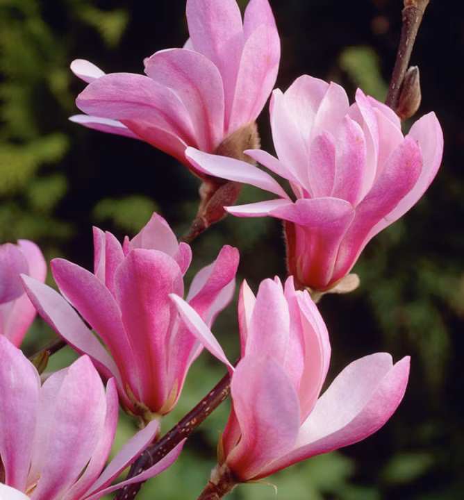 5cc10d17b69fbcc58a509942d64ad0c8