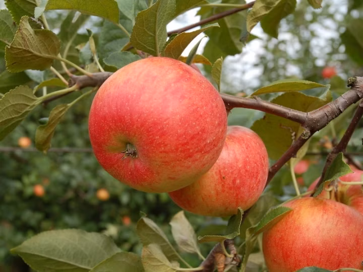 5cfb2a31bed88bd17056a06e1fb73cb8