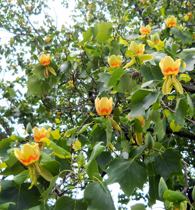 5d07d09dce2850aa11025654fa2f7f99