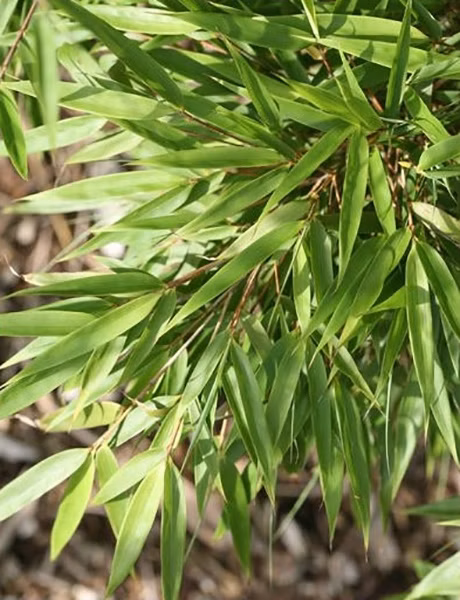 5d37a728c1e3921ecfd1c810b163756d