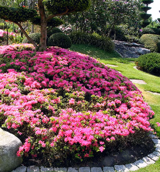 5d43c9d25a5de065b2baf5b1f0c5dfbb