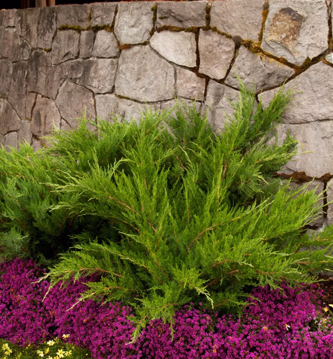 5d805fd655302cc9c0e3e0c90ddbe411