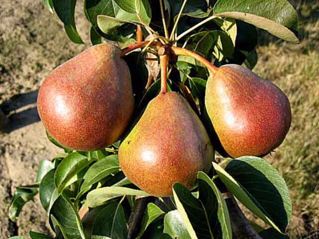 5de03fff44f2bf79df5f8b3057364921