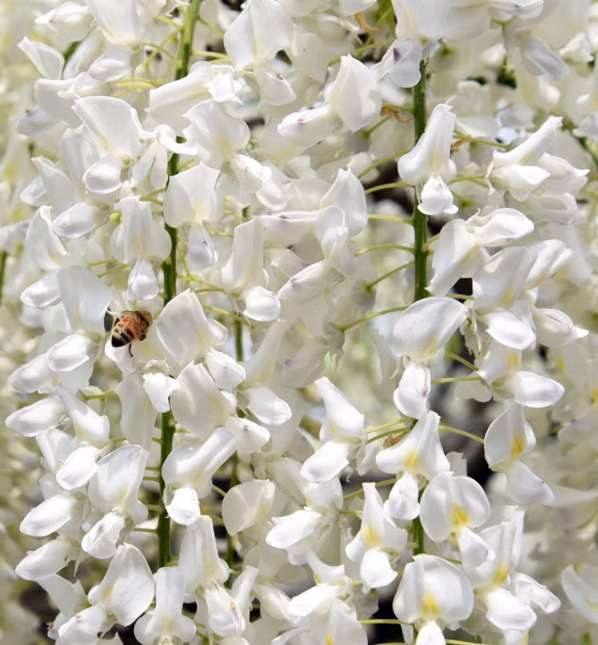 5e074cca41c9cb1c8b45891bab342276