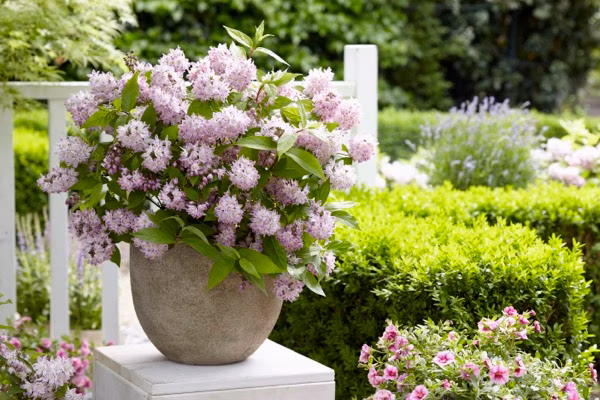 5e60dee62ab6f5f675e76dca65d4c854