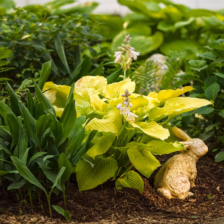 5e75c16199eff07f6cb47f2e6fbc19af